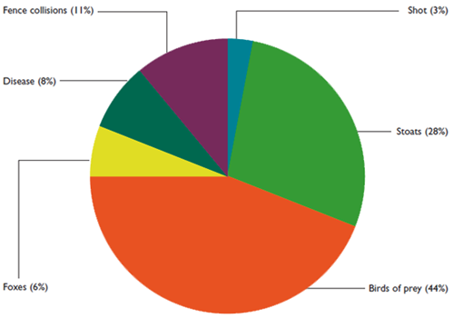 Causes of black grouse mortality in northern England Causes of black grouse mortality in northern England