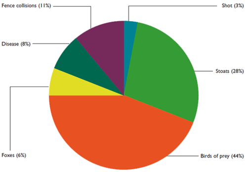 Causes of black grouse mortality in northern England