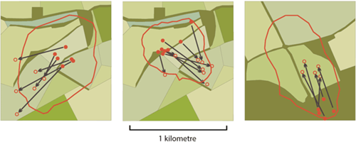 The ecology of hares on open farmland