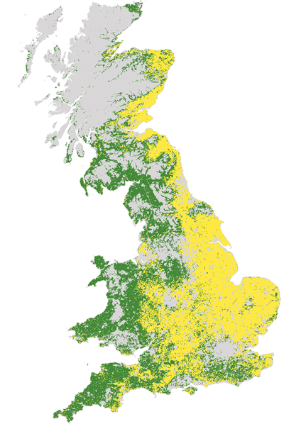 UK brown hare habitat