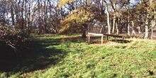 Is there more wildlife on gamebird release sites?
