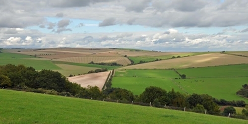 Countryside Stewardship Scheme