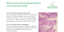Download this guide