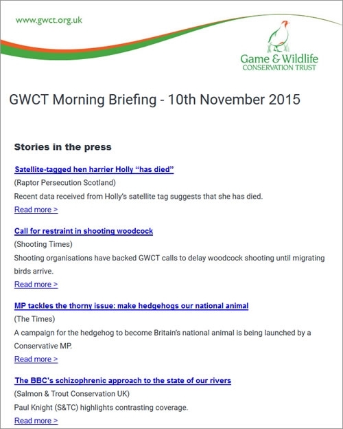 Morning Briefing Morning Briefing