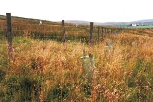 Fencing
