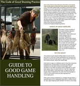 Good Game Handling - Free Guide