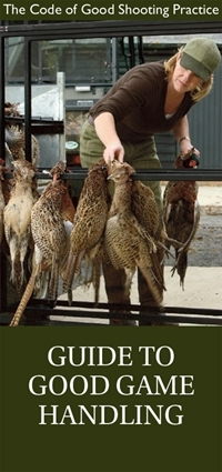 Guide to good game handling