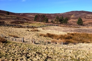 Hill edge in spring