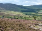 Auchnerran Annual Report 2020