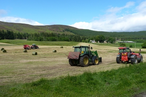 Silaging at Auchnerran