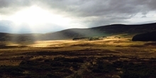 Scottish Demonstration Farm