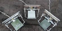 Agreement on International Humane Trapping Standards (AIHTS)