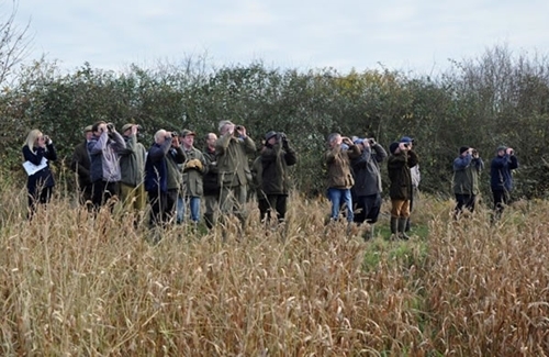 BFBC ID Days