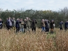 Book now for bird ID courses - they are filling fast
