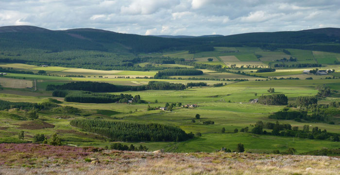 Find out more about Auchnerran Farm