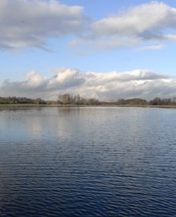 Avon Valley