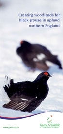 Woodlands for black grouse