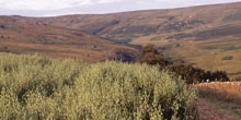 Establishing arable in the uplands