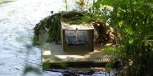 Mink raft guidelines