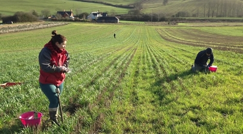Cover Crop Sampling 060216