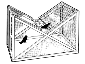 Ladder letterbox
