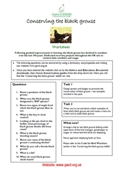 Black grouse worksheet