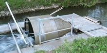 Salmonid smolt run monitoring