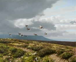 Previous GWCT Notecard