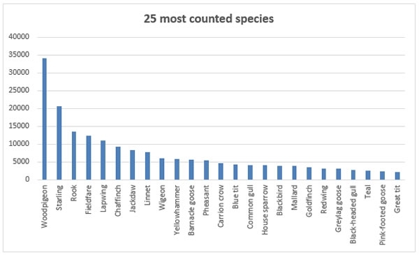 Most Counted Most Counted