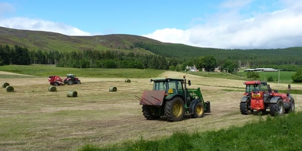 Farming Farming