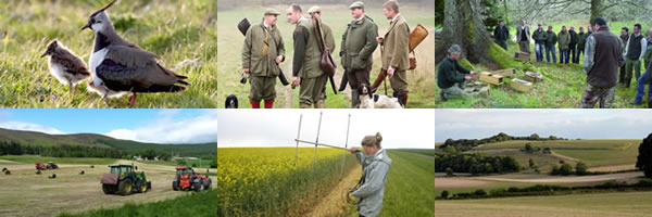 Join The GWCT