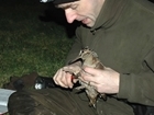 A woodcock ringer’s round-up of winter 2015/16