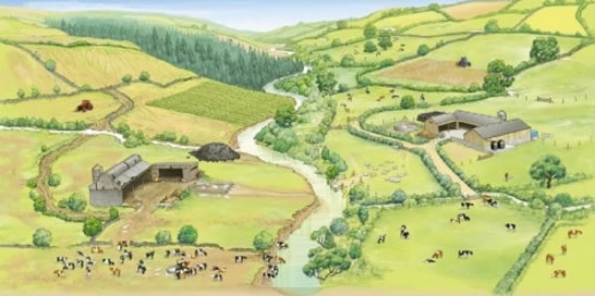 Farming And Fisheries Farming And Fisheries