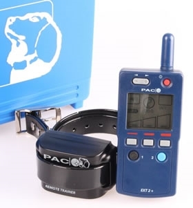 Pacdog1