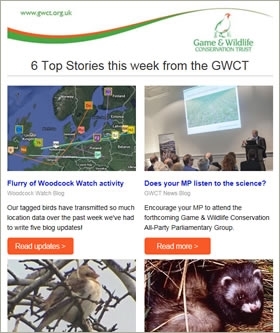 GWCT Newsletter