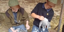 Scotland Young Shooters