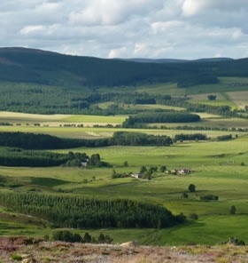 Auchnerran