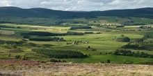 Auchnerran Demo Farm