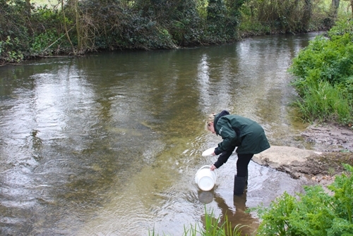 Sarah Chare releasing fish