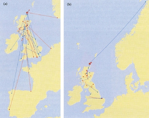 Locations in autumn (red) and winter (blue) and movements of over 20km between breeding season and autumn or winter male (a) and female (b) hen harriers present in Britain & Ireland during the breeding season
