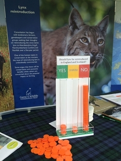 Lynx counter