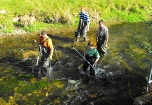 Salmon parr tagging