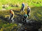Volunteers needed for salmon tagging on the River Frome
