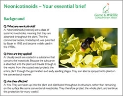 Neonicotinoids Guide
