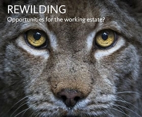 Rewilding Discussion
