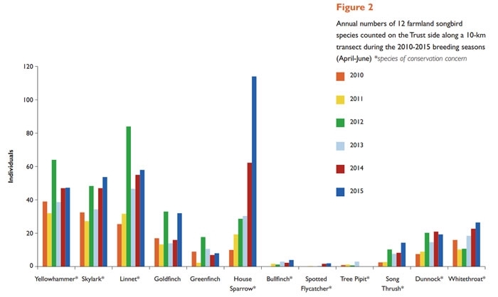 Farmland Bird Species