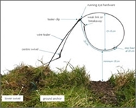 Preparing snares for use - Game and Wildlife Conservation Trust