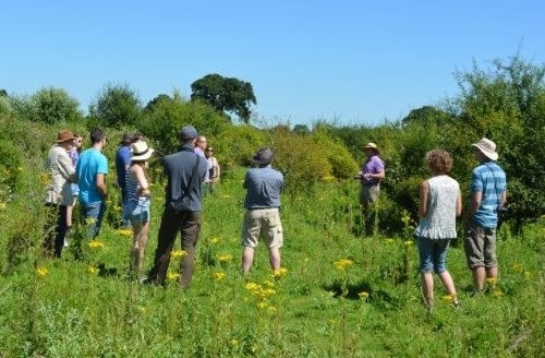 GWCT Visit To Knepp