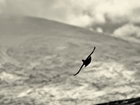 Notecard Competition Winners Announced