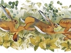 Wildlife Art in the North